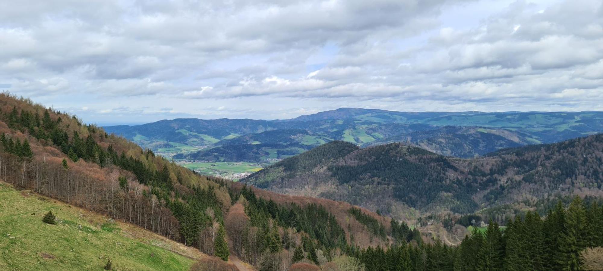 Haus Anna-Marie Apartman Feldberg  Kültér fotó