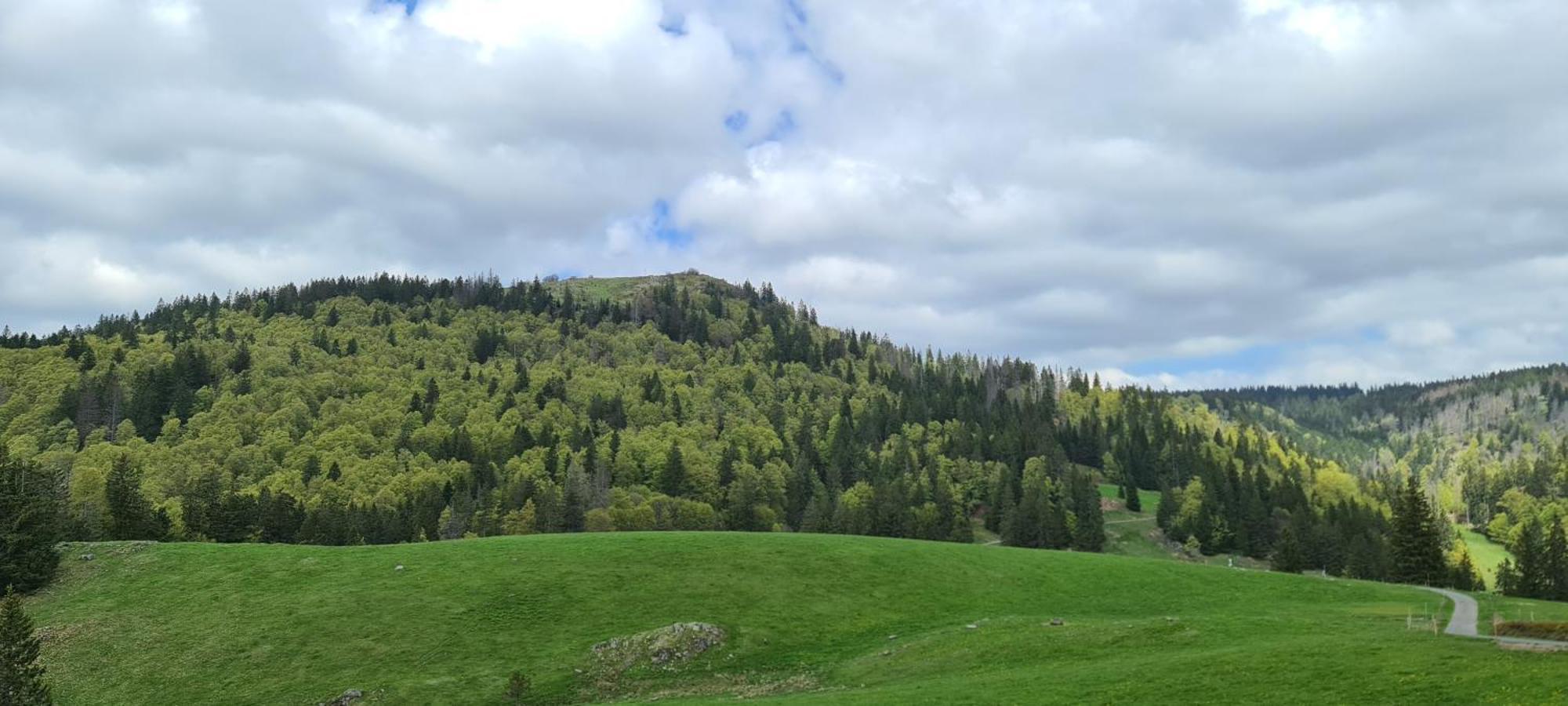 Haus Anna-Marie Apartman Feldberg  Kültér fotó